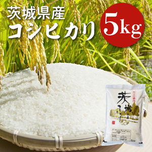 【令和6年産】茨城県産コシヒカリ 5kg 【お米 ごはん こしひかり 老舗 米屋 おにぎり ごはん 茨城県 水戸市 5キロ】(HQ-81)