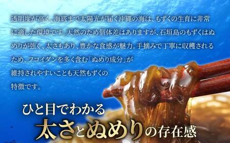 沖縄県産　天然太もずく　たれ付き　300g×10袋