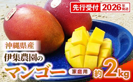 
            【先行受付】【2026年発送】伊集農園  沖縄県産マンゴー ご家庭用 約2kg - 先行予約 沖縄 産地直送 南国フルーツ 旬の味覚 家庭用 2キロ オススメ 沖縄県 八重瀬町
          