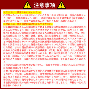 ルピナスロボ LTEモデル(アイボリー)  マッサージ機 マッサージチェア 家庭用医療機器 電動リクライニング キャスター 液晶パネルリモコン ヒーター搭載 もみ位置自動調整【T-CT3】【大山ブラン