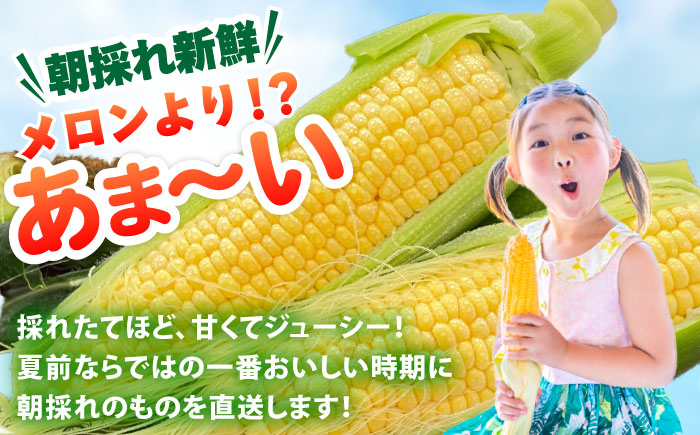 朝採れ スイートコーン 5kg（12-15本入り）とうもろこし ＜ちくし農園＞那珂川市 [GDU001]
