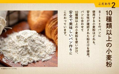 ナチュラルプレーンベーグル　10個セット