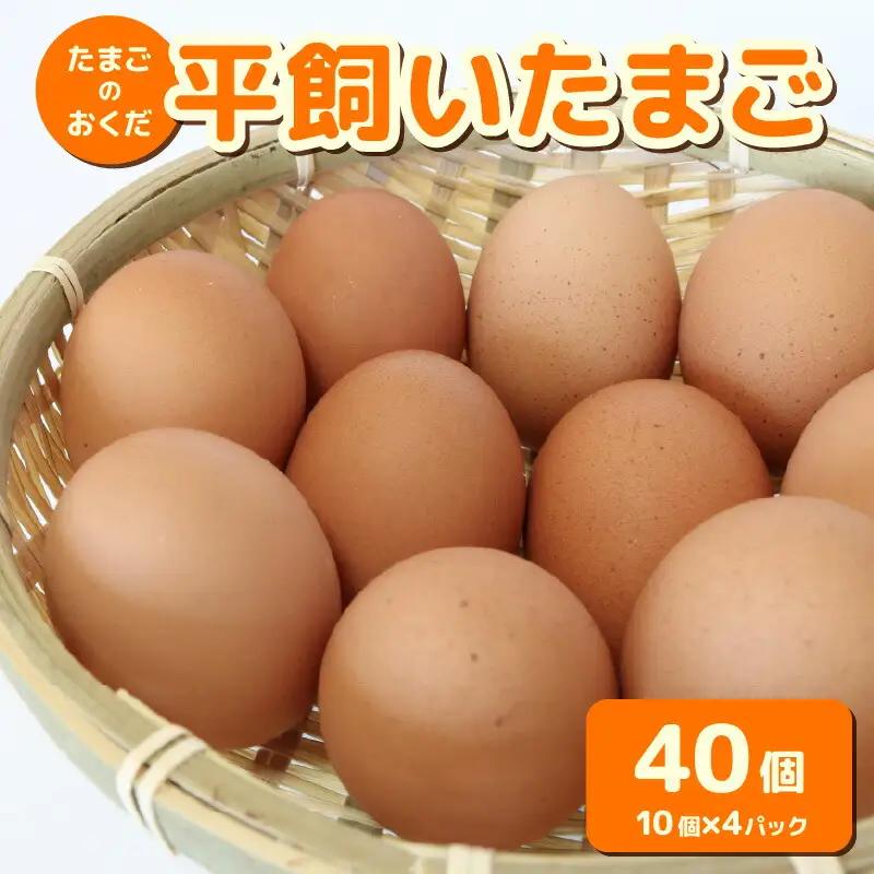 【平飼いたまご】 40個入【たまご 高知県 南国市】