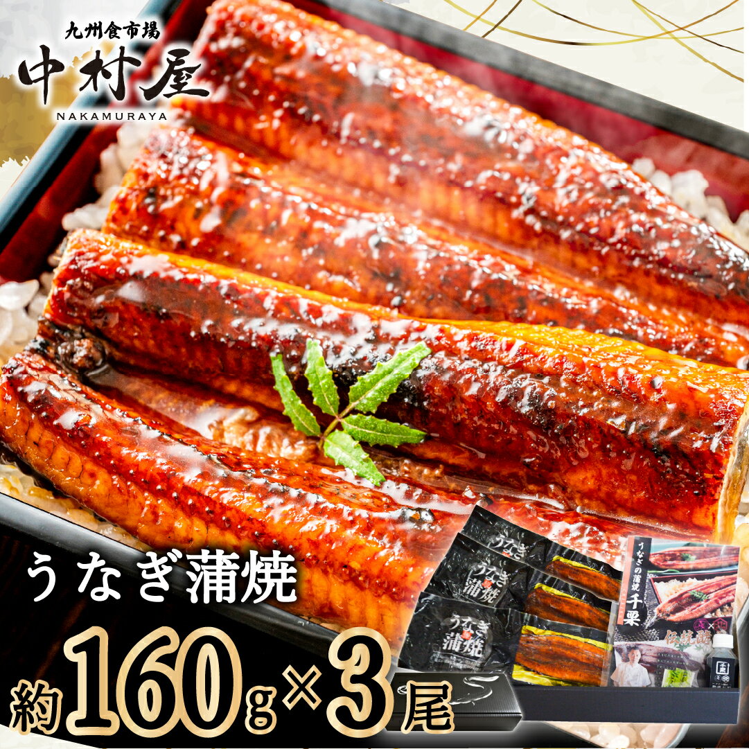 【ふるさと納税】伝統酵母　うなぎの蒲焼　　千栗　国産160g×3(FM063)