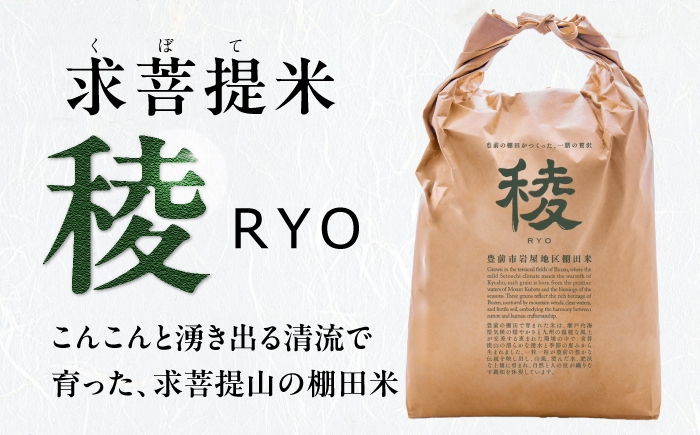 新米 産地直送 精米 国産 おすすめ 人気 10kg