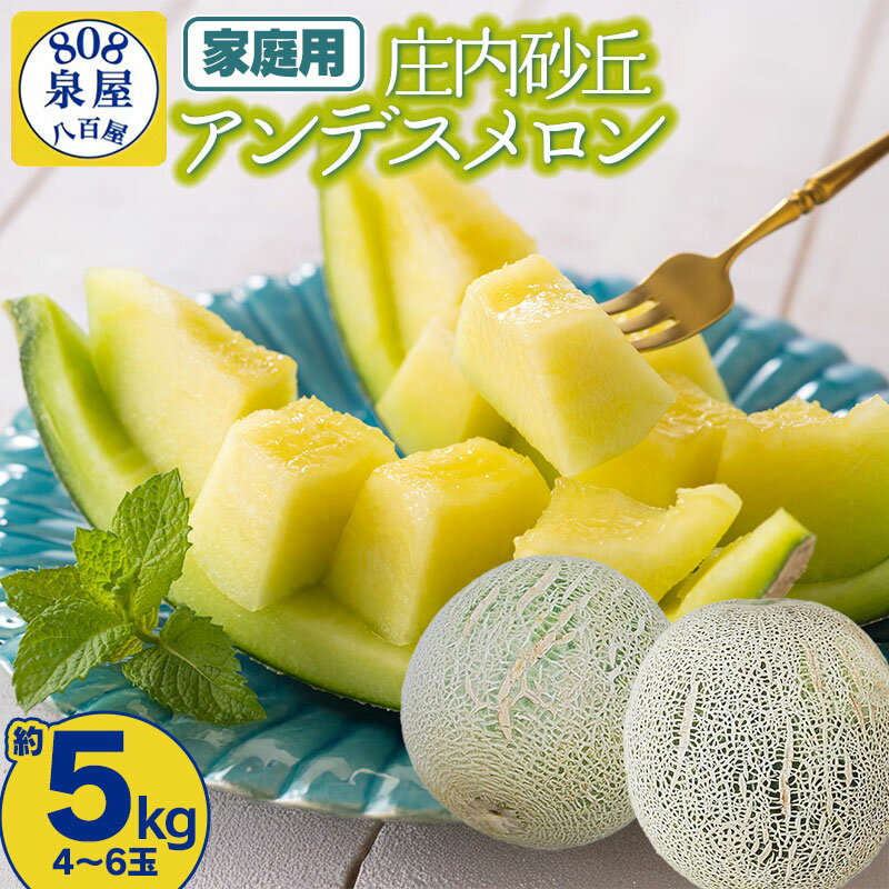 【ふるさと納税】【令和8年産先行予約】【家庭用】泉屋商店の庄内砂丘アンデスメロン　約5kg（4～6玉）　K-830