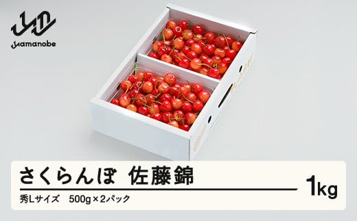 
            《先行予約》 さくらんぼ 佐藤錦 秀Lサイズ プレゼント ギフト バラ詰め 1kg(500g×2パック) 2026年産 令和8年産 山形県産 ns-snslb1
          