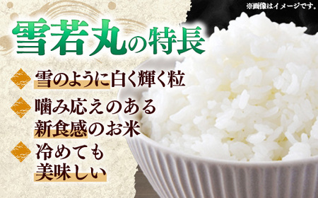 マイスターがつくる 雪若丸 白米 10kg 令和7年産 - 山形県 飯豊町産 米 精米 銘柄 ブランド米 林七【価格改定】