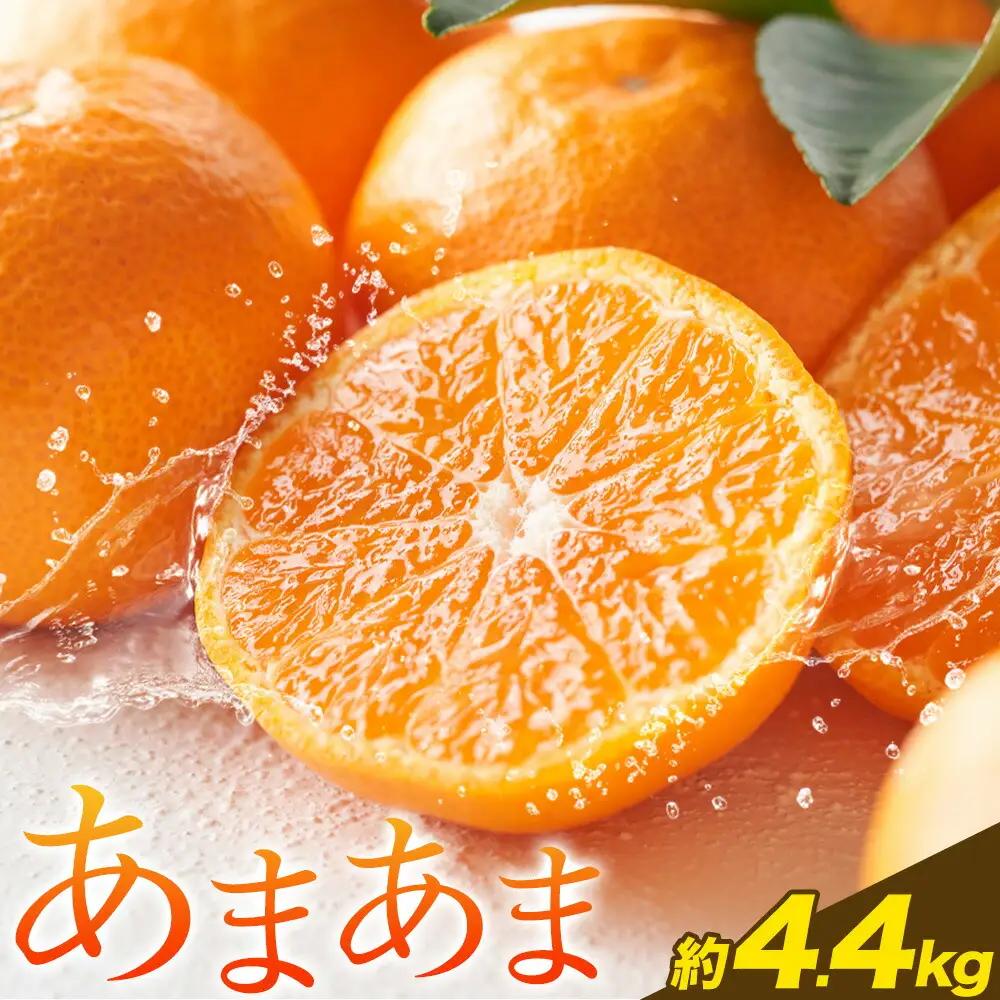 みかん 雨よけ完熟みかん「あまあま」 約4.4kg