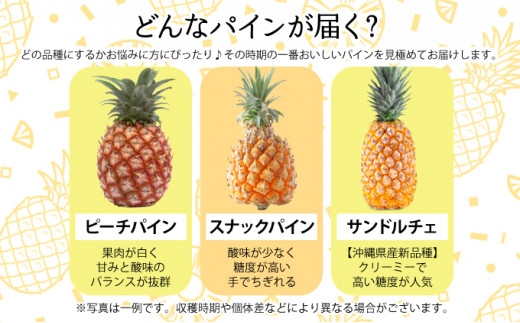 2026年 先行予約 セット 黒糖 完熟 パイン 水鴨農園 西表島産 パイナップル 果物 フルーツ