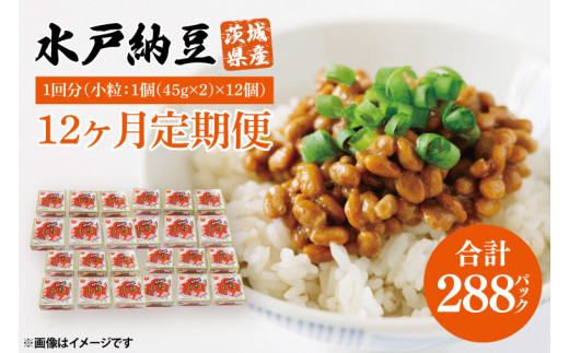 【12ヶ月定期便】水戸納豆 小粒 12個(1箱6個入り×2)｜納豆 水戸納豆 定期便 小粒 小粒納豆 茨城県 行方市(BD-5)