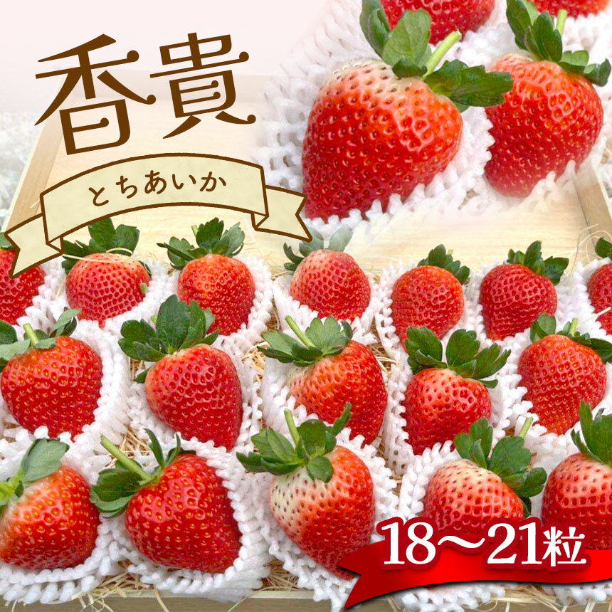 【ふるさと納税】【栃木県共通返礼品】【先行予約】香貴 18~21粒 |訳あり いちご とちあいか ぎっしり 香貴 不揃い 大粒 新鮮 甘い 数量 限定 果物 共通返礼品 フルーツ デザート スーパーセール 人気 ご褒美 贅沢 たっぷり 大容量 栃木県 那珂川町 送料無料