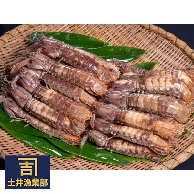 ふるさと納税 小樽市 小樽産 漁師直送 浜茹でシャコ(冷凍)、オス500g・ メス500g 計1kg(各8匹〜)