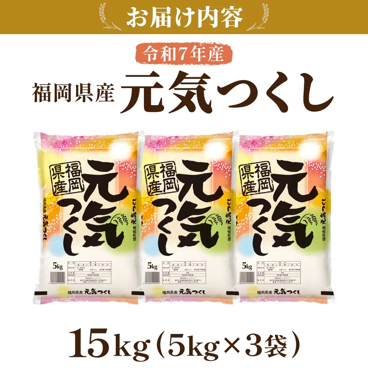 令和7年産 福岡県産元気つくし 15kg