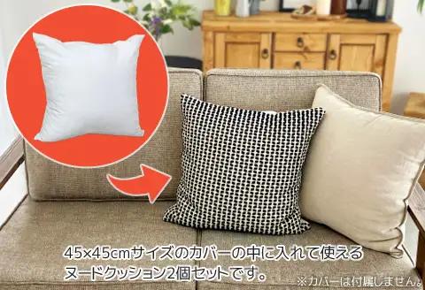 ヌード 中材 背当クッション 東レ テトロン2個セット_【G0815】
