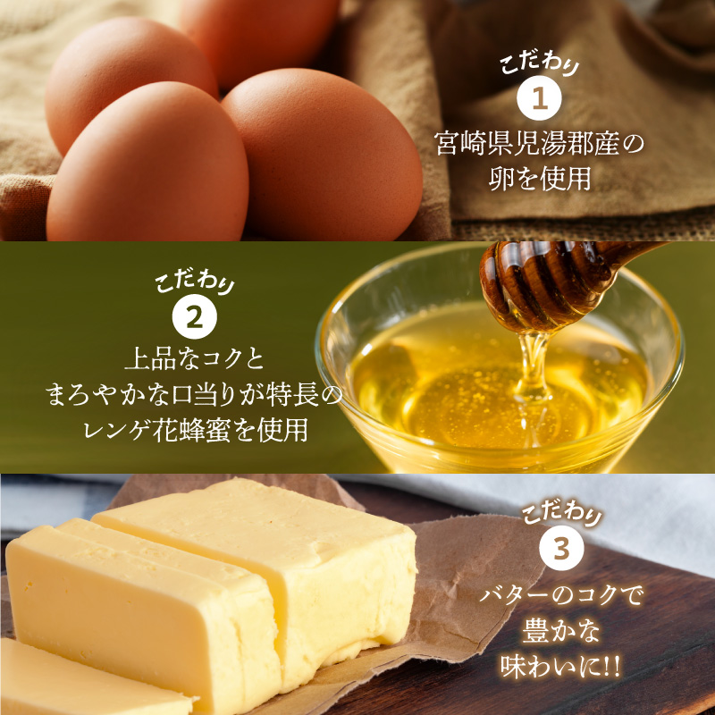 【2週間以内発送】老舗菓子舗のマドレーヌ2種セット「合計6個・個包装」_T035-020【焼き菓子 スイーツ 詰め合わせ 洋菓子人気 ギフト 食品 贈り物 お土産 デザート 加工品 送料無料 プレゼン
