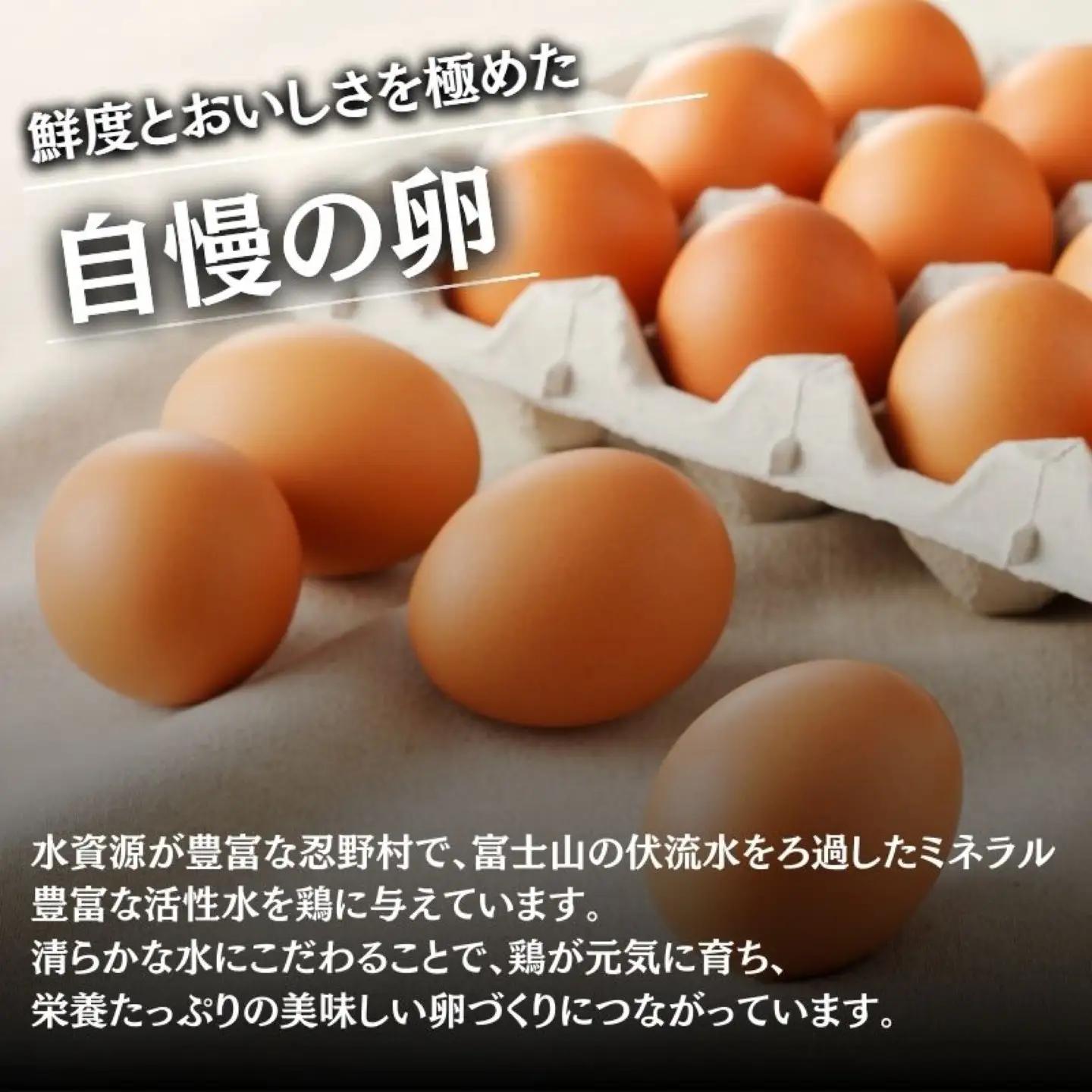 【忍野の卵】コクの赤玉【30個入り】