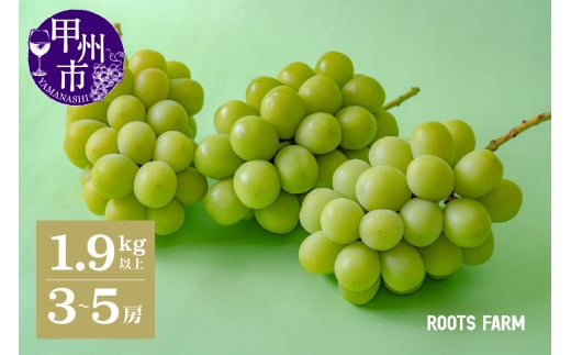 【数量限定】高品質なROOTS FARMシャインマスカット 1.9kg以上 3～5房入【2025年発送】（RO）C1-135【シャインマスカット 葡萄 ぶどう ブドウ 令和7年発送 期間限定 山梨県産 甲州市 ギフト フルーツ 】