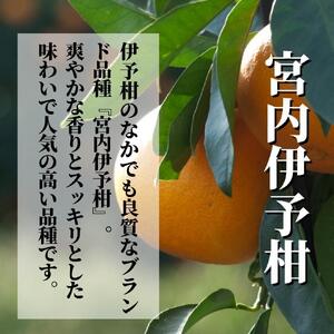 ＜2026年2月頃発送＞ 【先行予約】 【三種のみかん食べ比べ箱】せとか・はるか・宮内伊予柑 （家庭用）約2.8kg　食べくらべ 愛媛 みかん 詰め合わせ セット 先行予約 蜜柑 柑橘 果物 くだもの