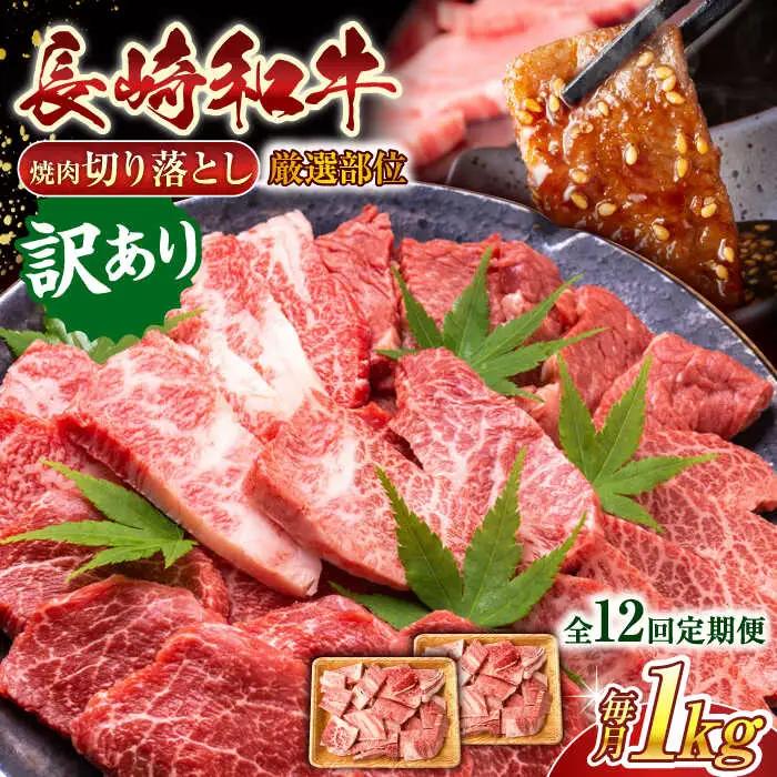 【全12回定期便】【訳あり】【A4~A5】長崎和牛焼肉切り落とし(肩ロース・バラ）　1kg（500g×2p）【株式会社 MEAT PLUS】[QBS044]