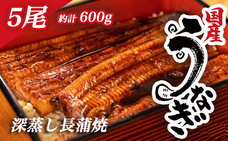 
                  国産 鰻 うなぎ 蒲焼 計 5尾  1尾 約120g～130g 冷凍 小分け 深蒸し たれ付き 漁協  静岡 静岡県
                