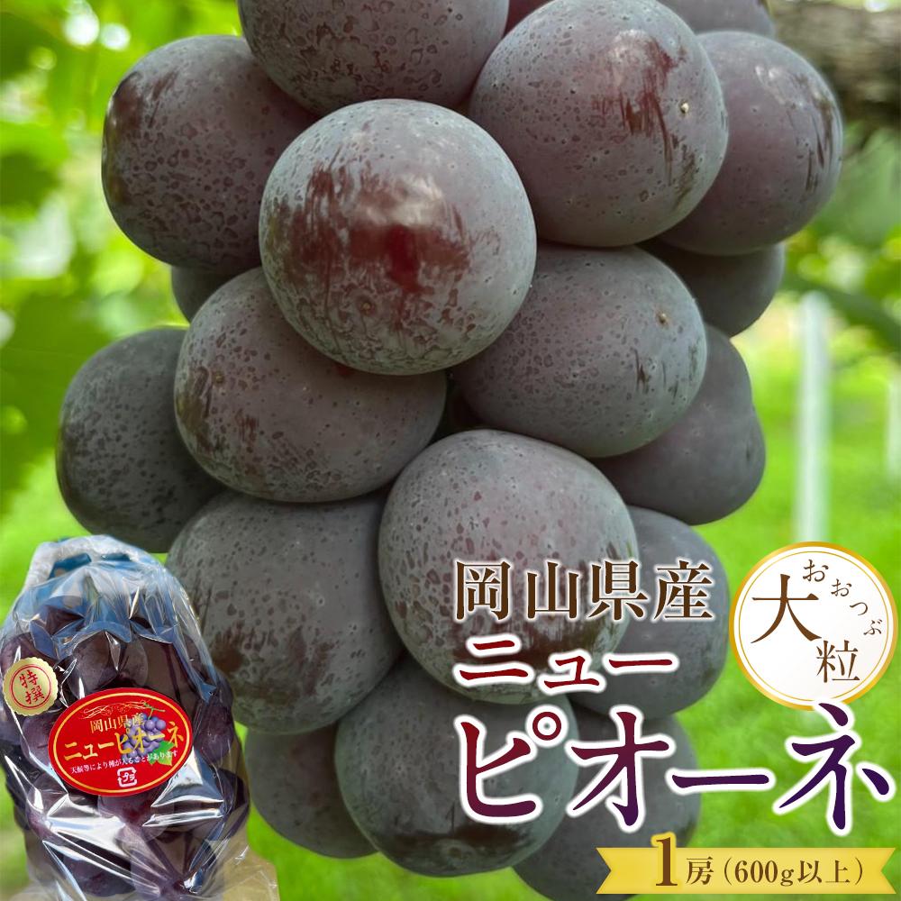 【ふるさと納税】ぶどう 2026年 岡山県産 大粒 ニューピオーネ 1房（600g以上）農園直送 朝採れ | フルーツ 果物 くだもの 食品 人気 おすすめ 送料無料