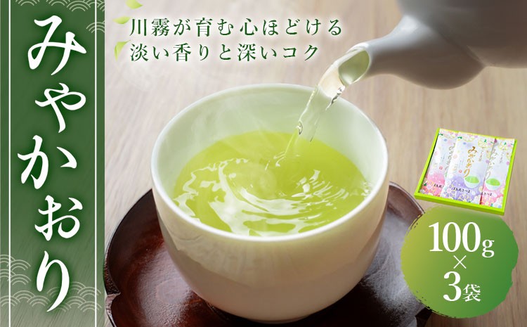 
                  お茶 緑茶 みやかおり 100g×3袋 北さつま農協 《30日以内に出荷予定(土日祝除く)》 鹿児島県 さつま町 送料無料 お茶 緑茶 茶葉 日本茶 煎茶 セット ギフト お土産
                