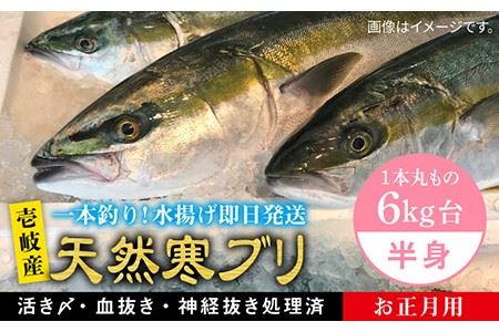 【年内発送】※12/20-1/15配送【年末年始用】壱岐島産天然寒ブリ（一本丸ものサイズ6キロ台の半身ブロック） [JBS020] 68000 68000円