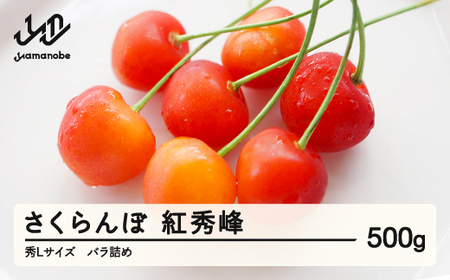 《先行予約》 さくらんぼ 紅秀峰 秀Lサイズ 500g バラ詰め 2026年産 令和8年産 山形県産 ns-bsslb500