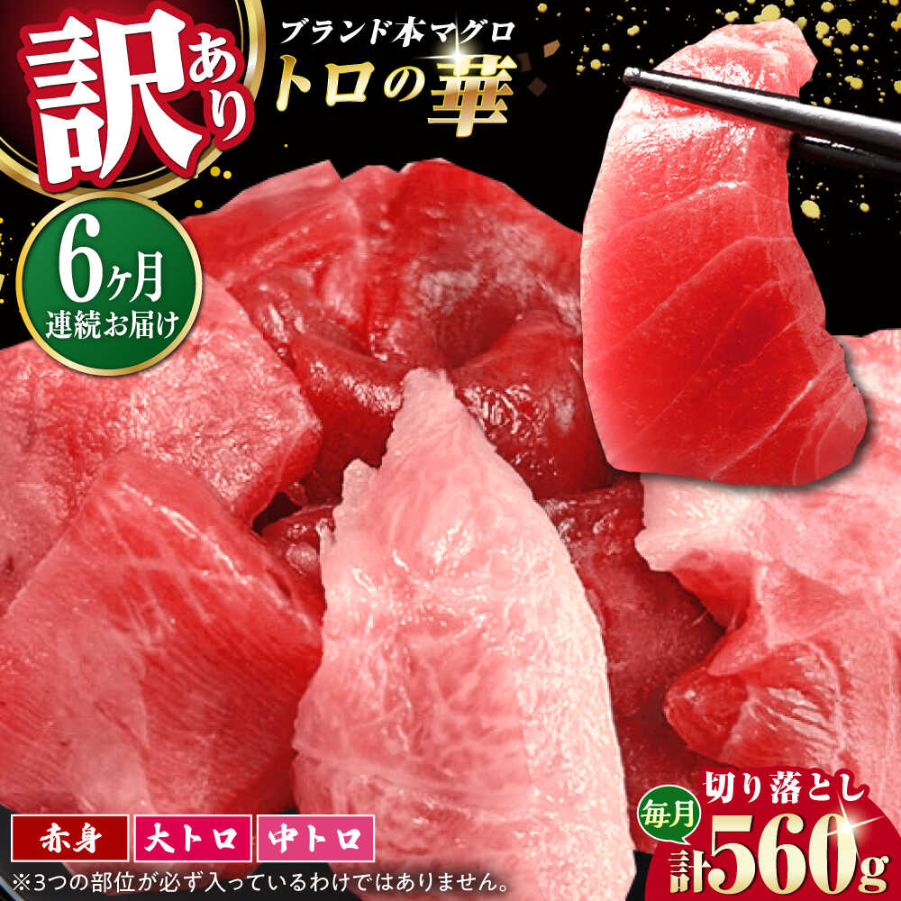 【ふるさと納税】【全6回定期便】訳あり！対馬産 本マグロ 切り落とし 560g（8パック） ≪対馬市≫【桐谷商店】 トロの華 冷凍 新鮮 海鮮 小分け マグロ[WAQ033]