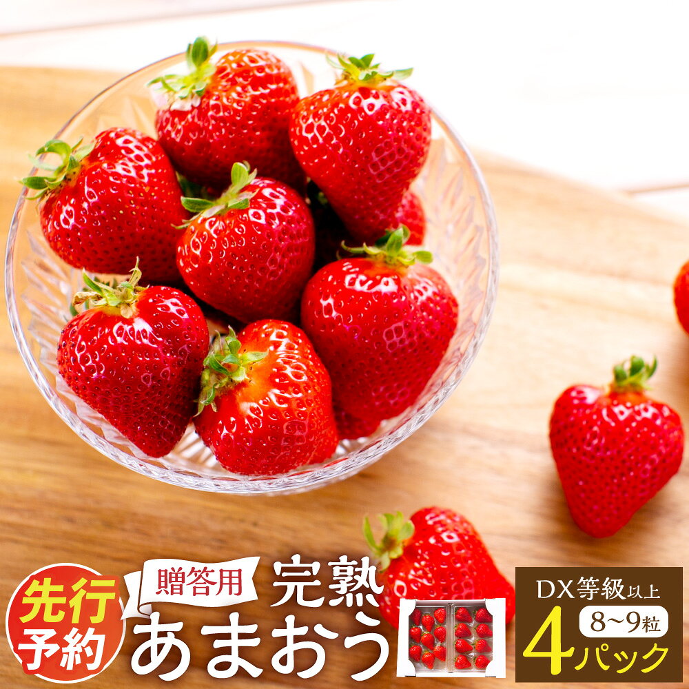 【ふるさと納税】 完熟 あまおう 贈答用 4パック 約250g～410g×4パック 総合計約1kg～1.64kg いちご イチゴ 苺 フルーツ 果物 大粒 くだもの 先行予約 福岡県 苅田町 送料無料 【2027年1月上旬-3月下旬発送予定】