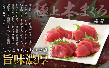 お刺身 セット 甘海老 250g × 2P ＆ 本まぐろ 赤身 100g × 1P 【福井県 冷凍 小分け 刺身 えび エビ 海老 マグロ 鮪】 [e04-a101]