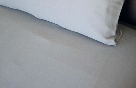 【tissu de coton/ダブルガーゼ】泉州南部織 ピローケース 1枚（グレー）