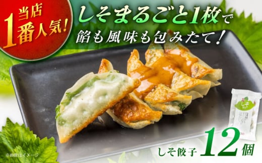 【お中元対象】【1パック】餃子屋ヒロの 人気のしそ餃子 餃子屋ヒロ ぎょうざ ギョーザ 冷凍 小分け 惣菜 おかず つまみ 焼くだけ 簡単調理 ご飯のお供 便利 加工食品 弁当 おつまみ 晩ごはん 神奈川県 開成町 [BDAS003-1]