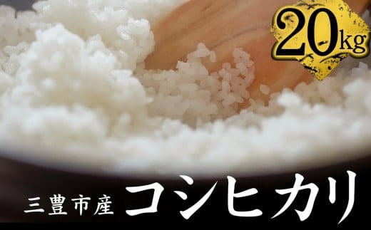 【ふるさと納税】【11/10頃より発送】新米コシヒカリ　20kg