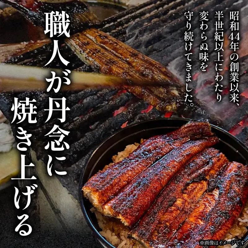 うなぎ 蒲焼 うなぎ[国産 2尾 約280g 一力]