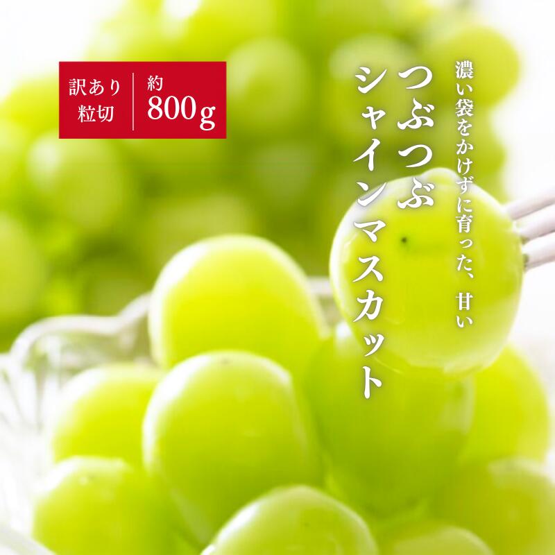 【ふるさと納税】粒切りで食べやすい!甘～いシャインマスカット/約800g (岡山県産)