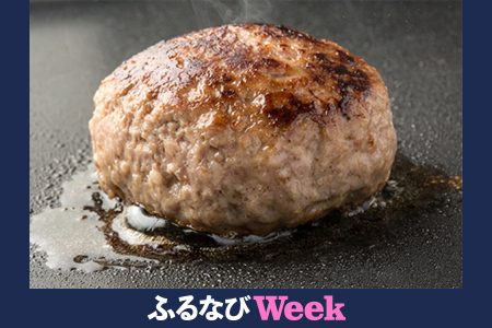 佐賀牛合い挽きハンバーグ　140g×5個　J1737　黒毛和牛 A5