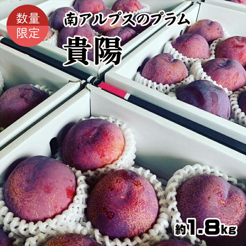 【ふるさと納税】 ＜2025年発送分先行予約＞山梨県南アルプス市産　高級すもも　貴陽　約1.8kg　6～9玉入り ふるさと納税 すもも 貴陽 プラム 果物 フルーツ おすすめ 山梨県 南アルプス市 送料無料 ALPAH019