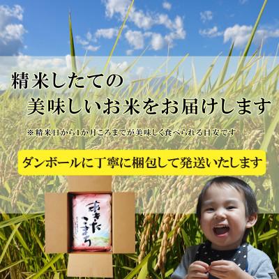 ふるさと納税 盛岡市 【毎月定期便】無洗米 あきたこまち 20kg全6回 |  | 03