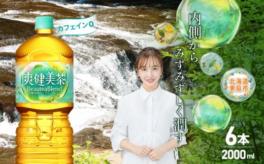 
                  爽健美茶2000mlPET×6本 | 爽健美茶 お茶 ハトムギ カフェインゼロ ノンカフェイン ブレンド茶 そうけんびちゃ 健康 水分補給 コカコーラ お取り寄せ 北海道 恵庭市 恵庭【38000702】
                