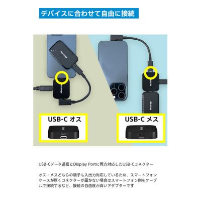 ふるさと納税 川崎市 映像出力やデータ転送と同時に給電可能なマルチアダプターとポータブルSSD|NX-P2SEG 1TB |  | 03