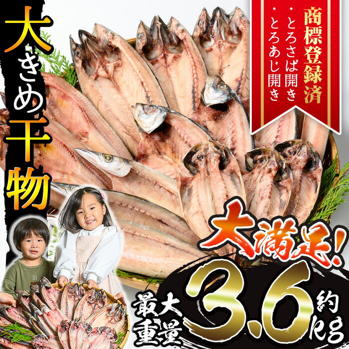 【ふるさと納税】＜選べる重量＞大きめ干物詰合せ＜合計約2kg～3.6kg！＞ 干物 セット 詰め合わせ ひもの 魚介類 魚 おかず おつまみ お楽しみ 【みのだ食品】
