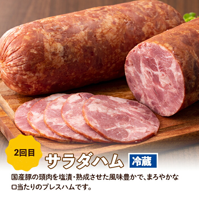i1205-A ＜定期便・計3回(連続月)＞ ナンチク 加工品 セット ( Newポークウインナー / 焼き豚 / サラダハム ) 定期便 訳アリ ウインナー ソーセージ 焼き豚 チャーシュー サラダ