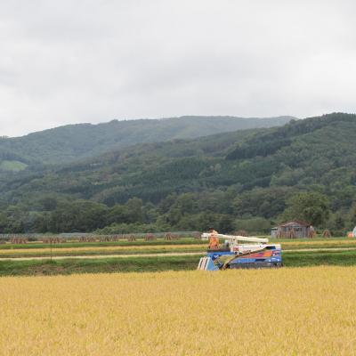 ふるさと納税 壮瞥町 【令和7年産】北海道壮瞥町産　清水農園のななつぼし 5kg SBTO015 |  | 01