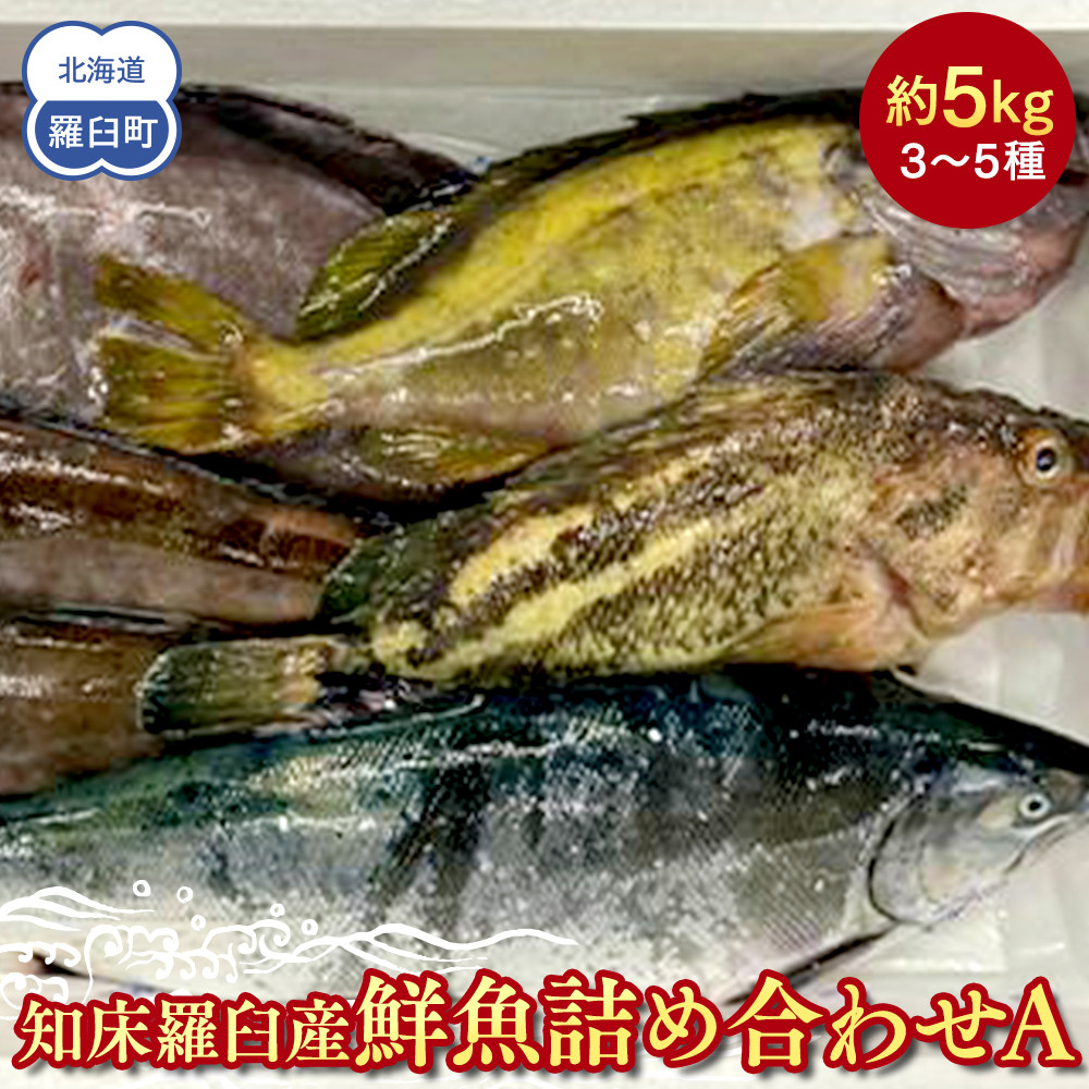 知床羅臼産 鮮魚詰め合わせA　約5kg 魚 さかな 旬の魚 鮮魚 羅臼町 北海道 生産者 支援 応援