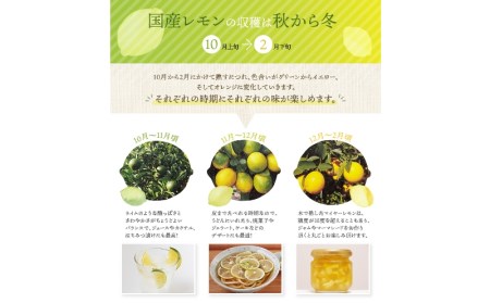 レモン 国産 マイヤーレモン 数量限定 / はぎファームのマイヤーレモン ３kg 【2023年10月～2024年3月下旬の期間で順次発送】【hgf001】