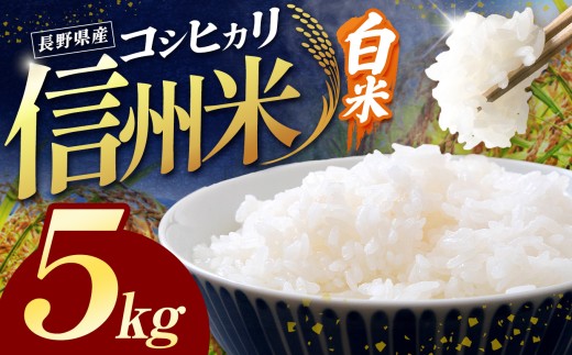 【2026年先行予約】令和8年産 信州米 長野県産 コシヒカリ 白米 5kg【10月以降 順次発送予定】 ｜ 令和8年産 米 コシヒカリ 白米 精米 コメ お米 おこめ 信州米 5kg 10kg 15kg 20kg  塩尻市 長野県 信州