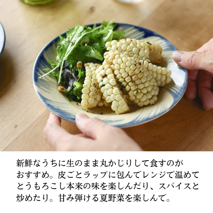  ［2024年先行予約］ まるでフルーツ！ 生で甘い、茹でて美味い！牛窓産 白色 とうもろこし 「うしまどんな」約4kg（8～12本入り）