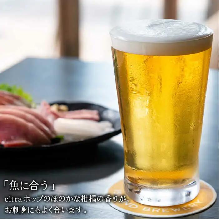 【全12回 定期便 】クラフトビール 地ビール  GOLDEN ALE 6本 【ISLAND BREWERY】 《 壱岐市 》[JED011] 192000 192000円